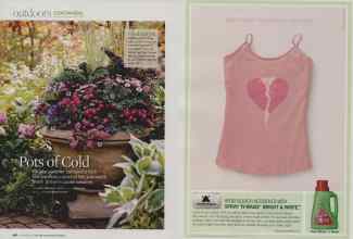 Better Homes & Gardens September 2009 Magazine Article: Page 128