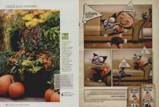 Better Homes & Gardens September 2009 Magazine Article: Page 132