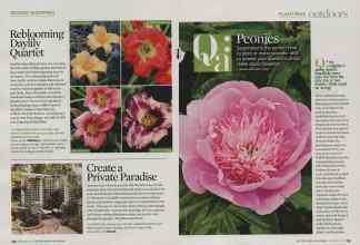 Better Homes & Gardens September 2009 Magazine Article: Page 134