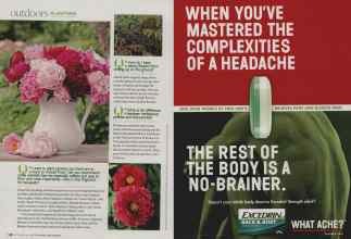 Better Homes & Gardens September 2009 Magazine Article: Page 136