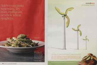 Better Homes & Gardens September 2009 Magazine Article: Page 186