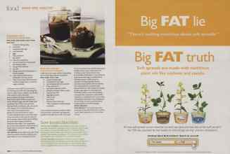 Better Homes & Gardens September 2009 Magazine Article: Page 202