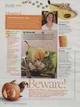 Better Homes & Gardens October 2009 Magazine Article: Good fun