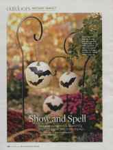 Better Homes & Gardens October 2009 Magazine Article: Show and Spell