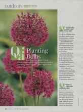 Better Homes & Gardens October 2009 Magazine Article: Qa: Planting Bulbs