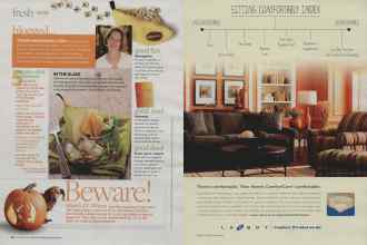 Better Homes & Gardens October 2009 Magazine Article: Page 22