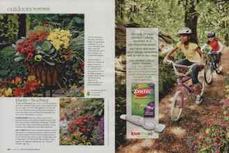 Better Homes & Gardens October 2009 Magazine Article: Page 128