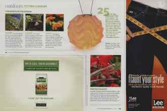 Better Homes & Gardens October 2009 Magazine Article: 25 years is the expected life of an outdoor LED light...