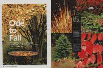 Better Homes & Gardens October 2009 Magazine Article: Ode to Fall