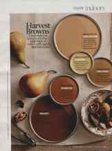 Better Homes & Gardens November 2009 Magazine Article: Harvest Browns