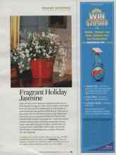 Better Homes & Gardens November 2009 Magazine Article: Fragrant Holiday Jasmine