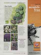 Better Homes & Gardens November 2009 Magazine Article: Plant Purple