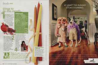 Better Homes & Gardens November 2009 Magazine Article: Page 20