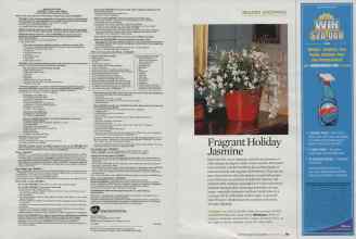 Better Homes & Gardens November 2009 Magazine Article: Page 88