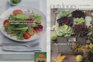 Better Homes & Gardens November 2009 Magazine Article: Page 102