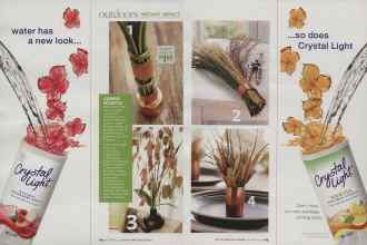 Better Homes & Gardens November 2009 Magazine Article: Page 114