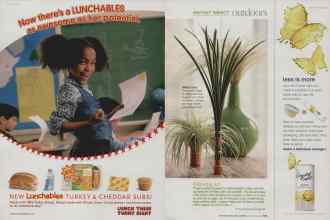 Better Homes & Gardens November 2009 Magazine Article: Page 116