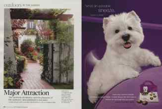 Better Homes & Gardens November 2009 Magazine Article: Page 118