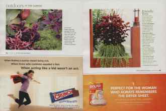 Better Homes & Gardens November 2009 Magazine Article: Page 124