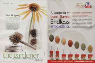 Better Homes & Gardens November 2009 Magazine Article: Page 126