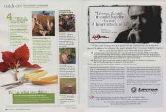 Better Homes & Gardens November 2009 Magazine Article: Page 132