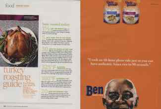 Better Homes & Gardens November 2009 Magazine Article: Page 202