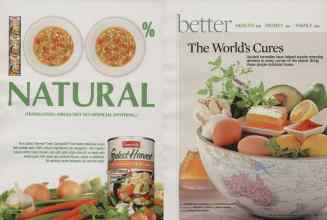 Better Homes & Gardens November 2009 Magazine Article: Page 228