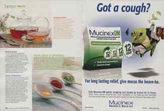 Better Homes & Gardens November 2009 Magazine Article: Page 232