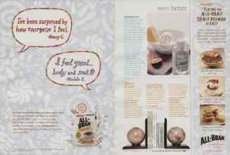 Better Homes & Gardens November 2009 Magazine Article: Page 234