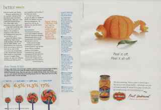 Better Homes & Gardens November 2009 Magazine Article: Page 248