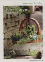 Better Homes & Gardens December 2009 Magazine Article: Winter Greens