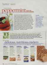 Better Homes & Gardens December 2009 Magazine Article: Peppermint tonic for your tummy