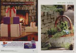 Better Homes & Gardens December 2009 Magazine Article: Page 90