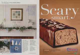 Better Homes & Gardens December 2009 Magazine Article: Page 110