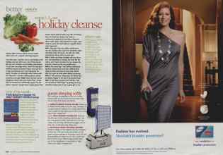 Better Homes & Gardens December 2009 Magazine Article: Page 250