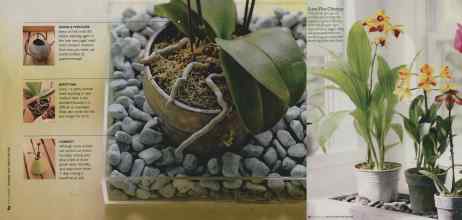 Better Homes & Gardens January 2010 Magazine Article: Page 69