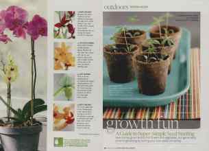 Better Homes & Gardens January 2010 Magazine Article: Page 71