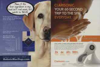 Better Homes & Gardens January 2010 Magazine Article: Page 81