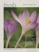 Better Homes & Gardens March 2010 Magazine Article: Things to do this month...