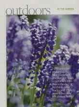 Better Homes & Gardens March 2010 Magazine Article: Spring times