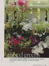 Better Homes & Gardens March 2010 Magazine Article: Mixed greens