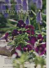 Better Homes & Gardens March 2010 Magazine Article: Pansy power