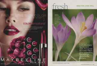 Better Homes & Gardens March 2010 Magazine Article: Page 16