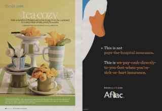 Better Homes & Gardens March 2010 Magazine Article: Page 26