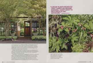 Better Homes & Gardens March 2010 Magazine Article: Page 96