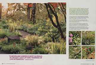 Better Homes & Gardens March 2010 Magazine Article: Page 98