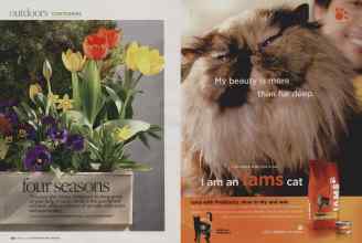 Better Homes & Gardens March 2010 Magazine Article: Page 130