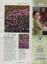 Better Homes & Gardens April 2010 Magazine Article: A Lilac That Reblooms