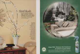 Better Homes & Gardens April 2010 Magazine Article: Page 28