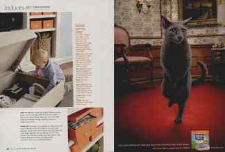 Better Homes & Gardens April 2010 Magazine Article: Page 48